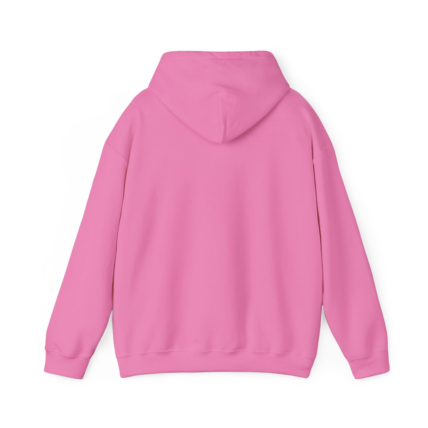 Cozy Parrot Party Hoodie - Fun Unisex Sweatshirt for Bird Lovers, Relaxed Style, Perfect Gift for Birthdays, Holidays, or Every Day