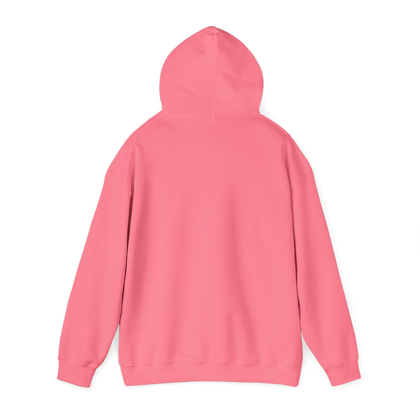 Cozy Parrot Party Hoodie - Fun Unisex Sweatshirt for Bird Lovers, Relaxed Style, Perfect Gift for Birthdays, Holidays, or Every Day