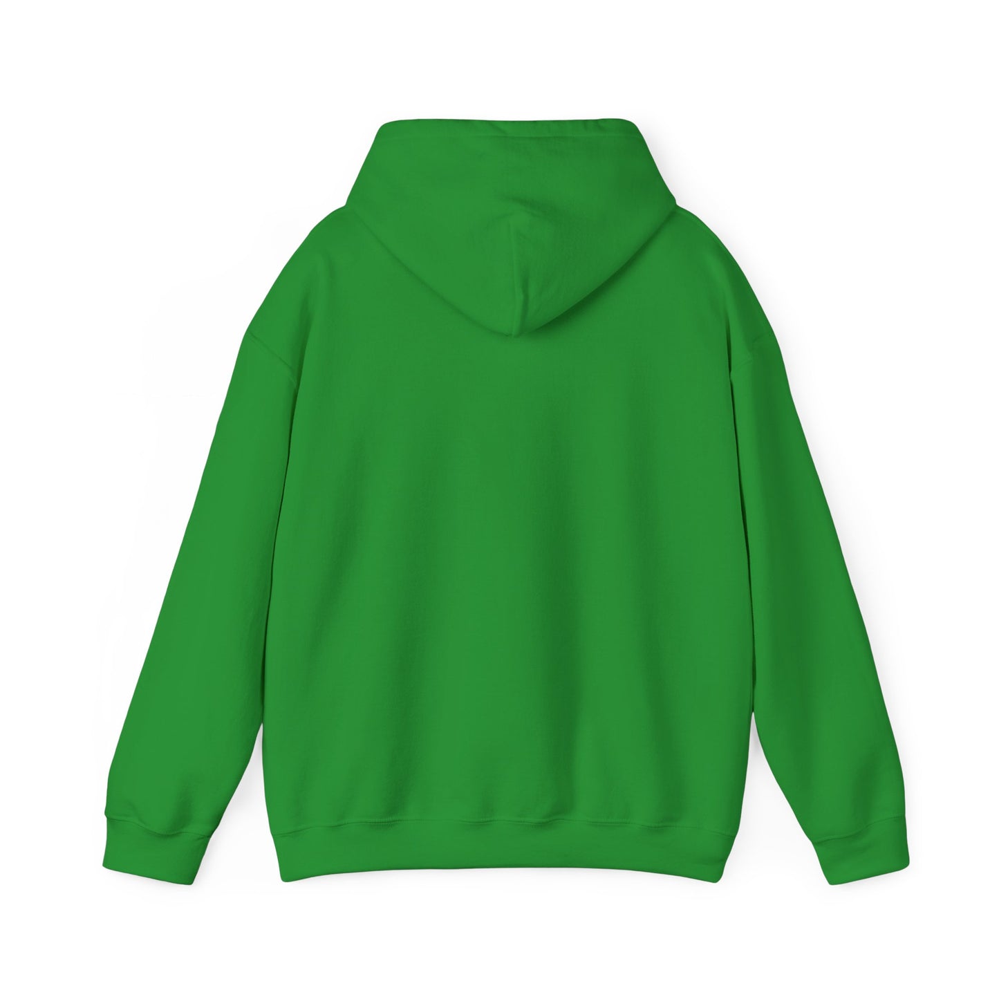 Cozy Parrot Party Hoodie - Fun Unisex Sweatshirt for Bird Lovers, Relaxed Style, Perfect Gift for Birthdays, Holidays, or Every Day