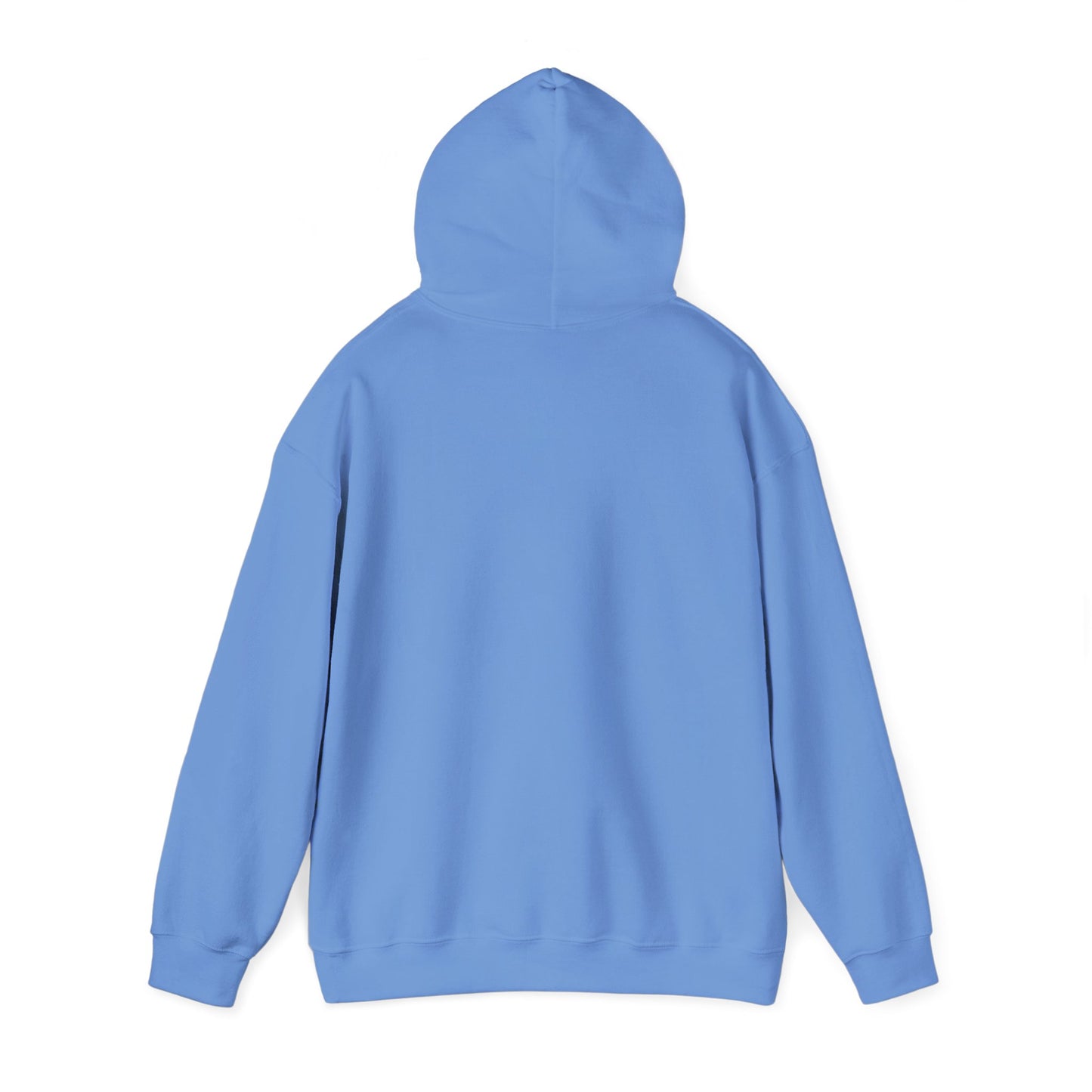 Cozy Parrot Party Hoodie - Fun Unisex Sweatshirt for Bird Lovers, Relaxed Style, Perfect Gift for Birthdays, Holidays, or Every Day