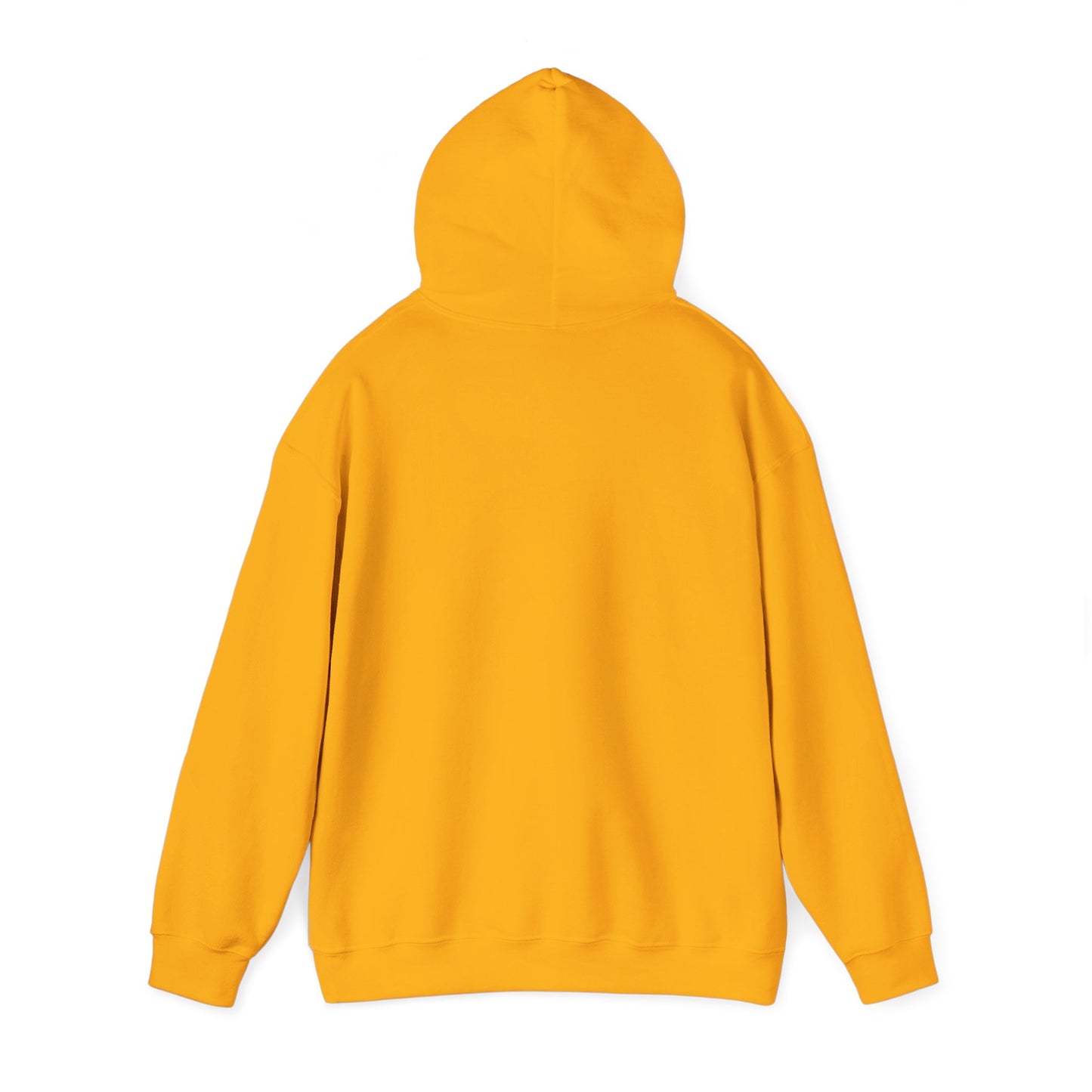 Cozy Parrot Party Hoodie - Fun Unisex Sweatshirt for Bird Lovers, Relaxed Style, Perfect Gift for Birthdays, Holidays, or Every Day