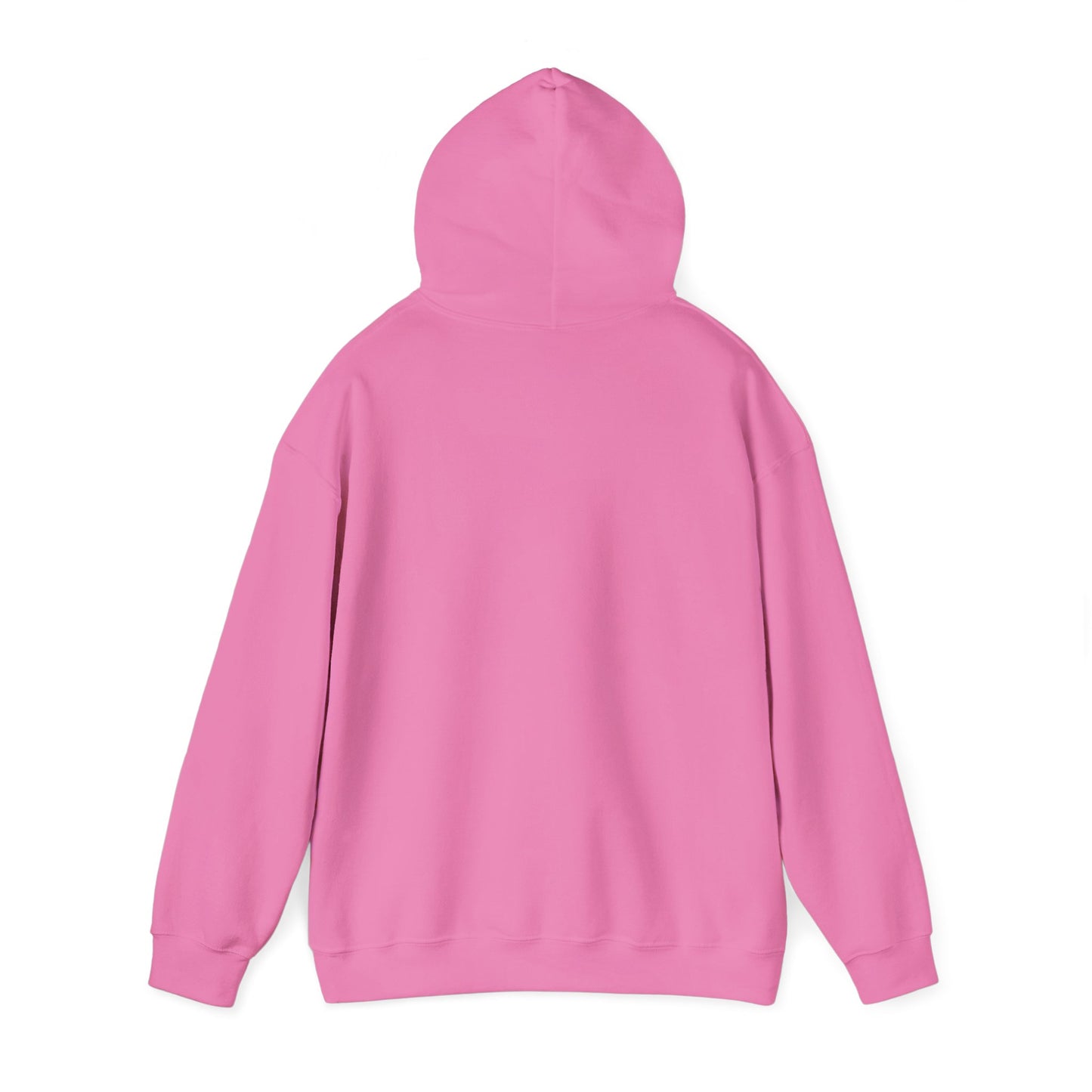 Cozy Parrot Party Hoodie - Fun Unisex Sweatshirt for Bird Lovers, Relaxed Style, Perfect Gift for Birthdays, Holidays, or Every Day