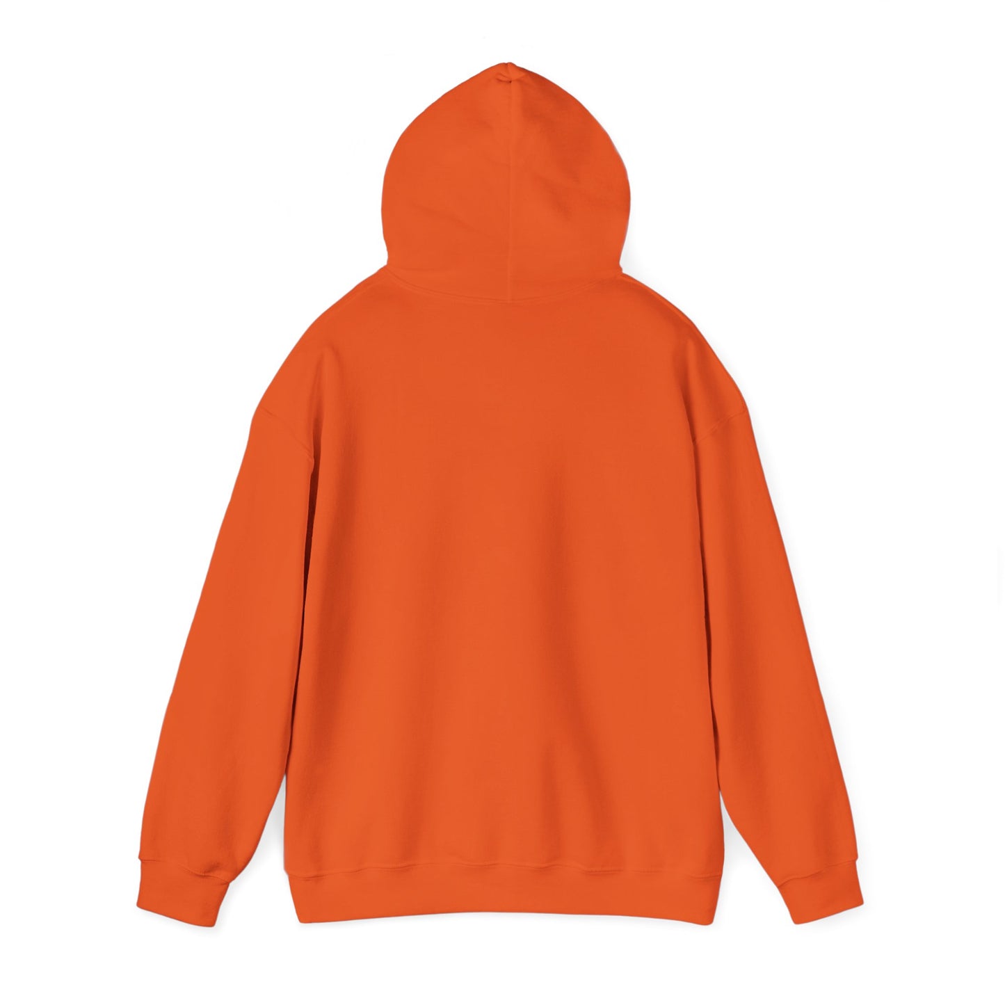 Cozy Parrot Party Hoodie - Fun Unisex Sweatshirt for Bird Lovers, Relaxed Style, Perfect Gift for Birthdays, Holidays, or Every Day