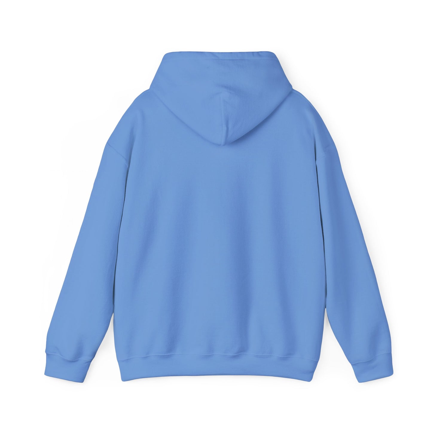 Cozy Parrot Party Hoodie - Fun Unisex Sweatshirt for Bird Lovers, Relaxed Style, Perfect Gift for Birthdays, Holidays, or Every Day