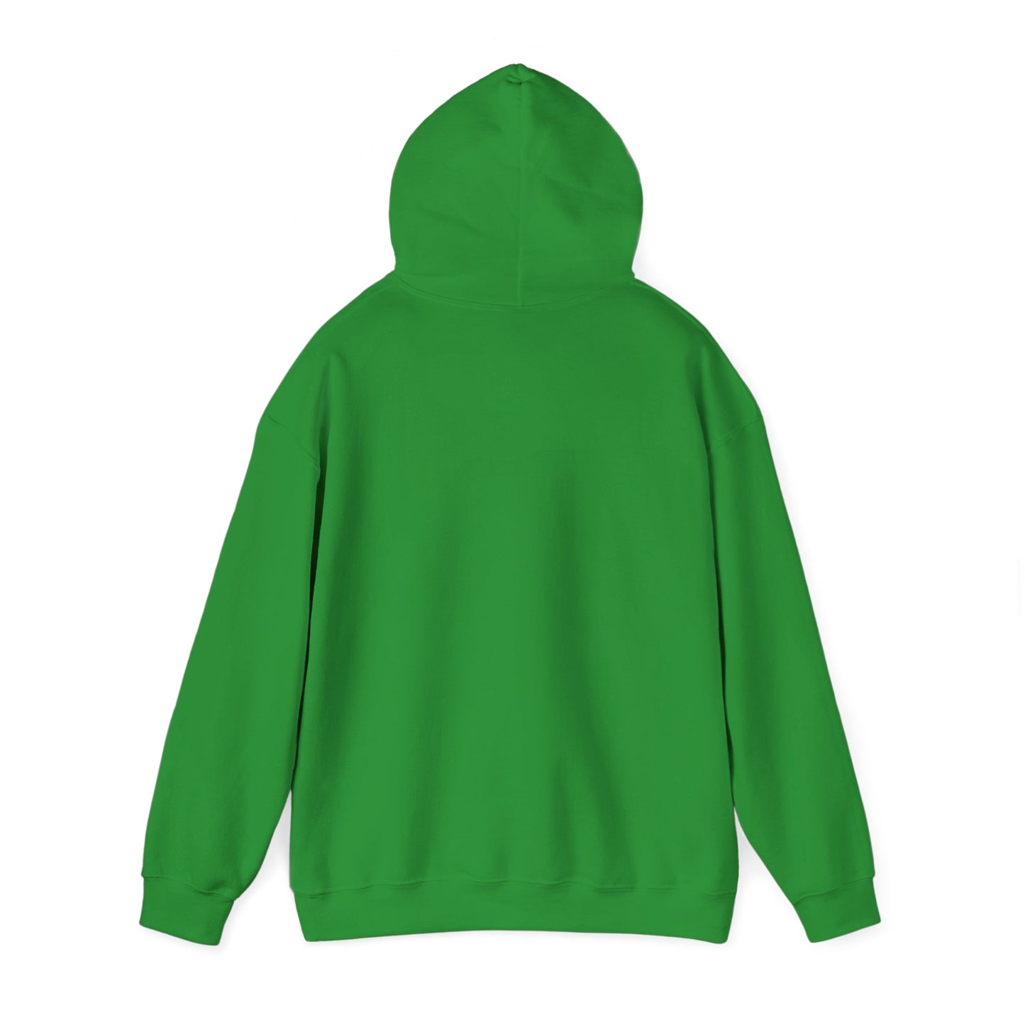 Cozy Parrot Party Hoodie - Fun Unisex Sweatshirt for Bird Lovers, Relaxed Style, Perfect Gift for Birthdays, Holidays, or Every Day