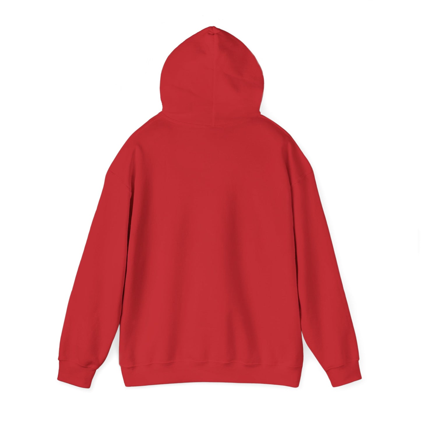 Cozy Parrot Party Hoodie - Fun Unisex Sweatshirt for Bird Lovers, Relaxed Style, Perfect Gift for Birthdays, Holidays, or Every Day