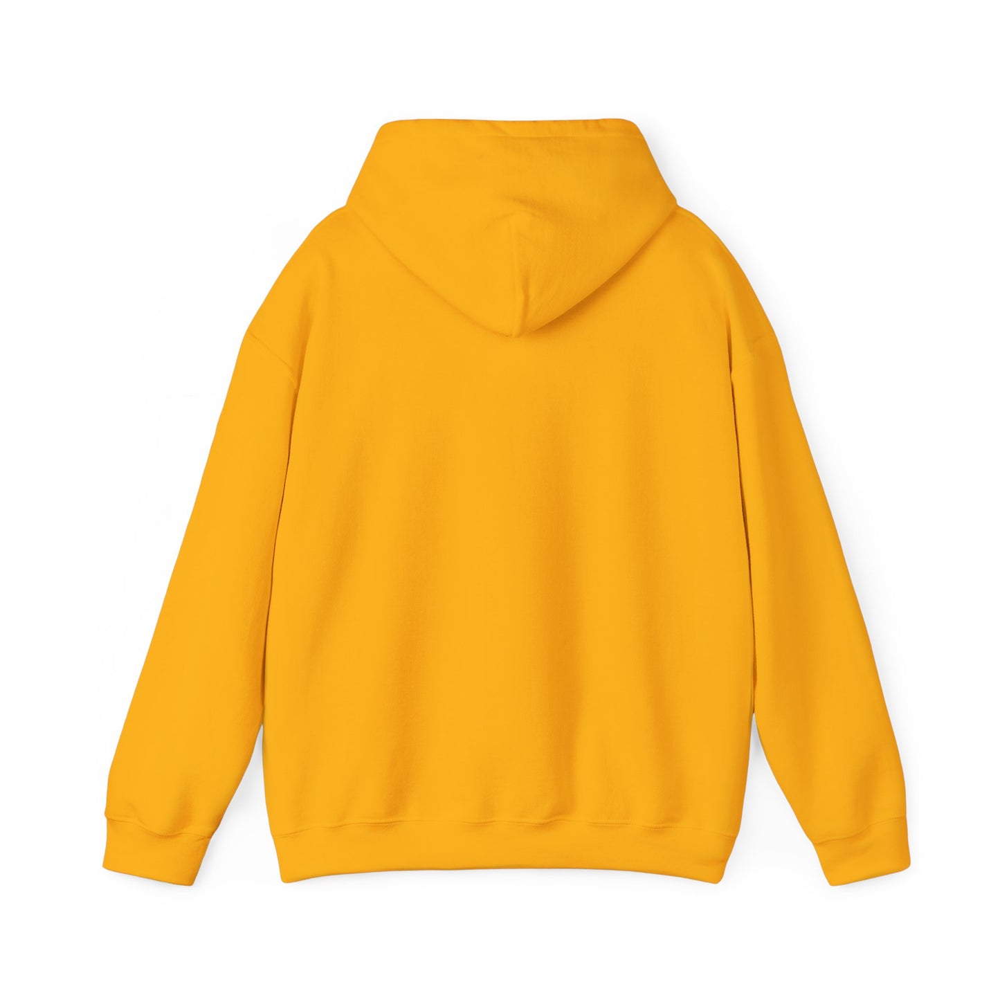 Cozy Parrot Party Hoodie - Fun Unisex Sweatshirt for Bird Lovers, Relaxed Style, Perfect Gift for Birthdays, Holidays, or Every Day